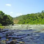 environmental writing markets