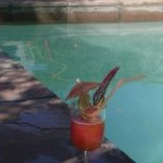 pool_cocktail