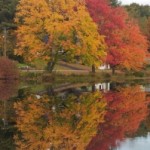 IndianSummer