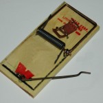 Mousetrap picture