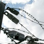 Barbed Wire Image