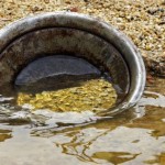 prospecting