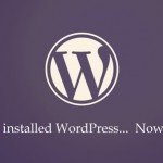 wp plugin