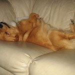 nap