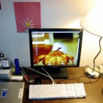 freelance writer