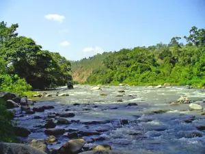 environmental writing markets