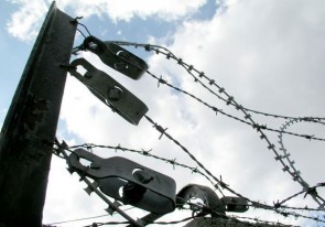 Barbed Wire Image