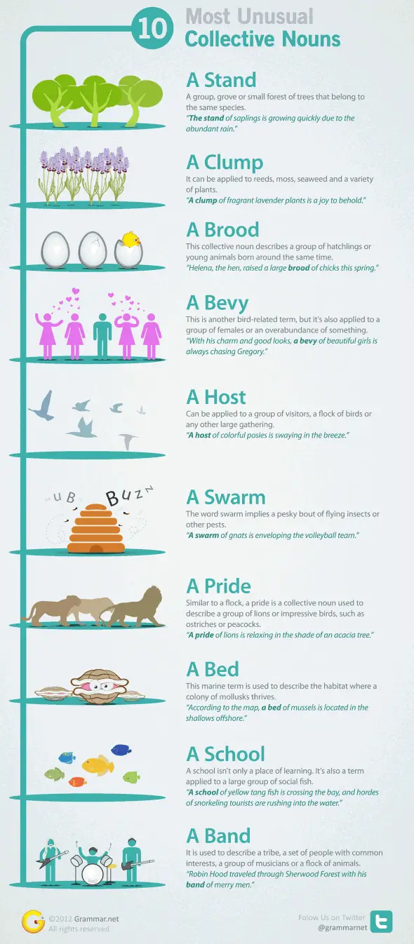 Collective Nouns Infographic