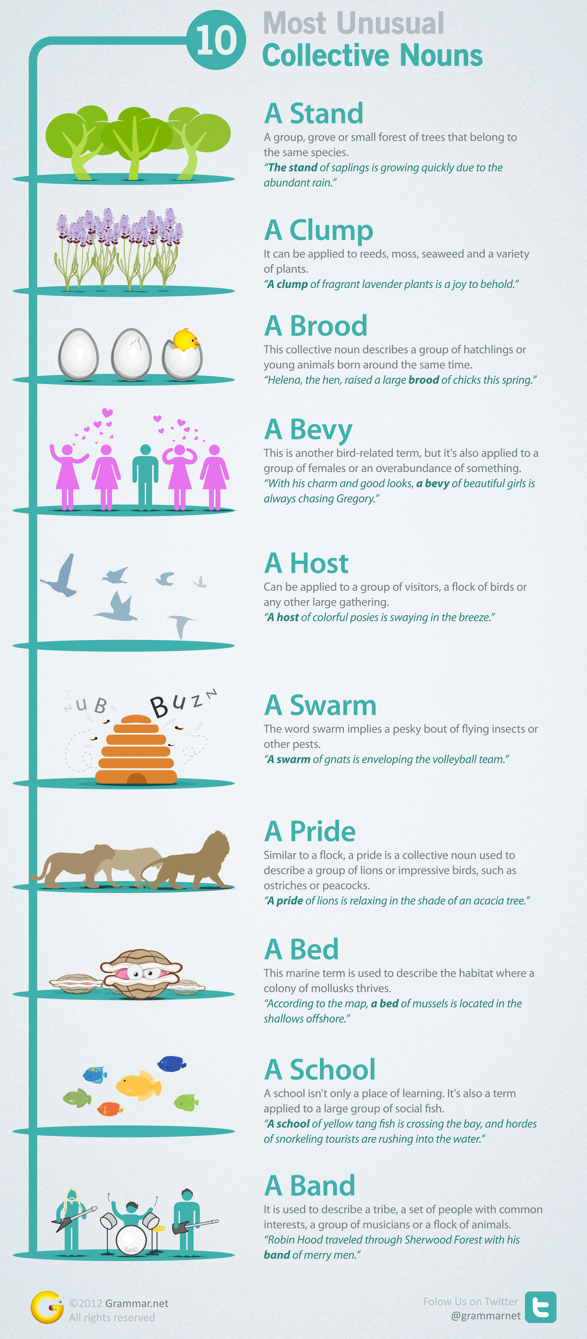 Collective Nouns Infographic