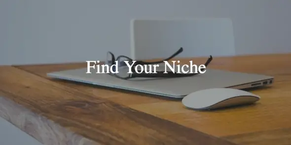 find a profitable niche blog